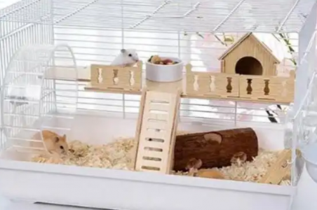 氧氣傳感器在小動物缺氧檢測系統(tǒng)中的氧濃度監(jiān)測